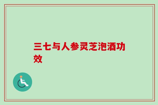 三七与人参灵芝泡酒功效