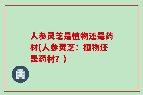 人参灵芝是植物还是药材(人参灵芝：植物还是药材？)