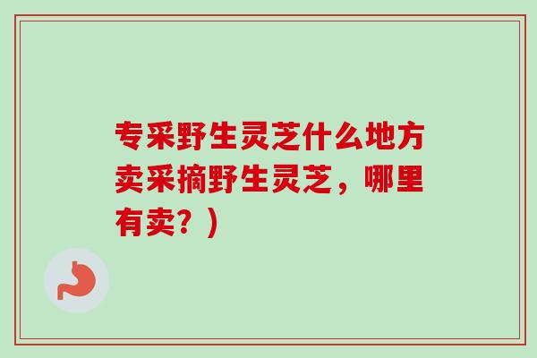专采野生灵芝什么地方卖采摘野生灵芝，哪里有卖？)
