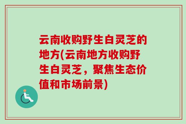 云南收购野生白灵芝的地方(云南地方收购野生白灵芝，聚焦生态价值和市场前景)