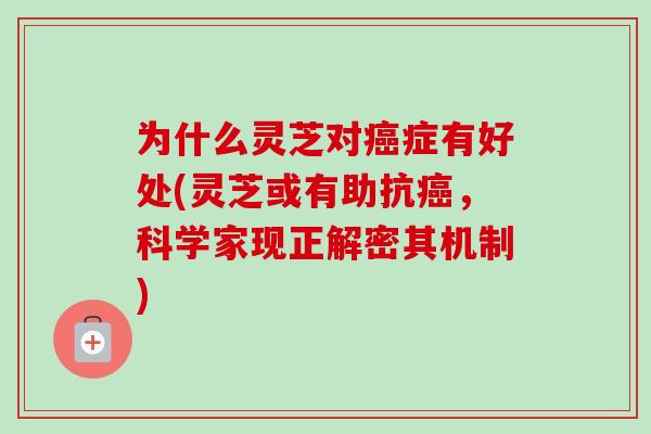 为什么灵芝对癌症有好处(灵芝或有助抗癌，科学家现正解密其机制)