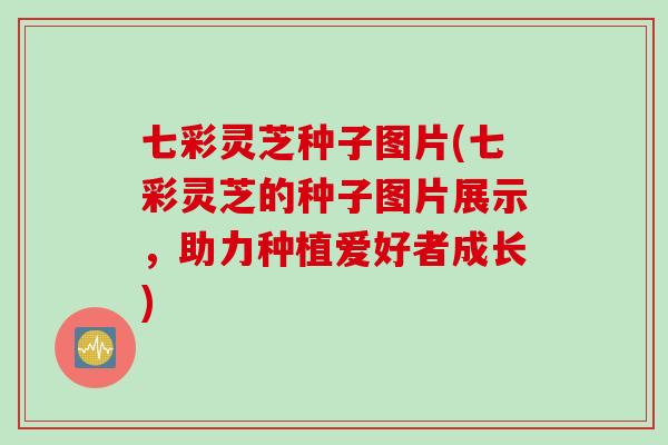 七彩灵芝种子图片(七彩灵芝的种子图片展示，助力种植爱好者成长)