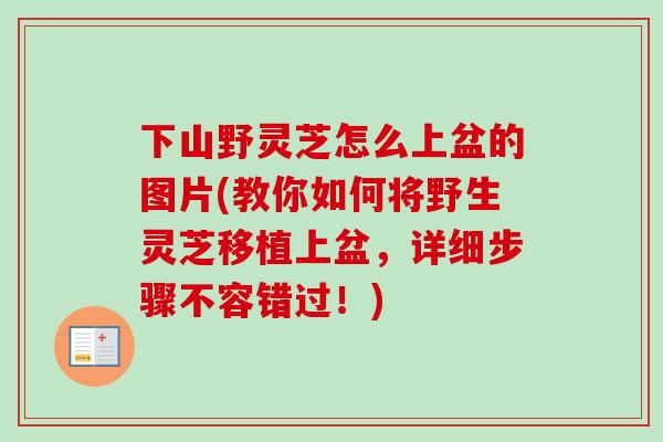 下山野灵芝怎么上盆的图片(教你如何将野生灵芝移植上盆，详细步骤不容错过！)