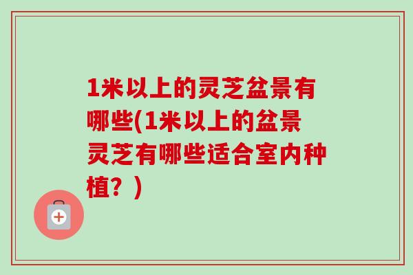 1米以上的灵芝盆景有哪些(1米以上的盆景灵芝有哪些适合室内种植？)