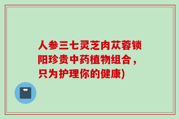 人参三七灵芝肉苁蓉锁阳珍贵中药植物组合，只为护理你的健康)