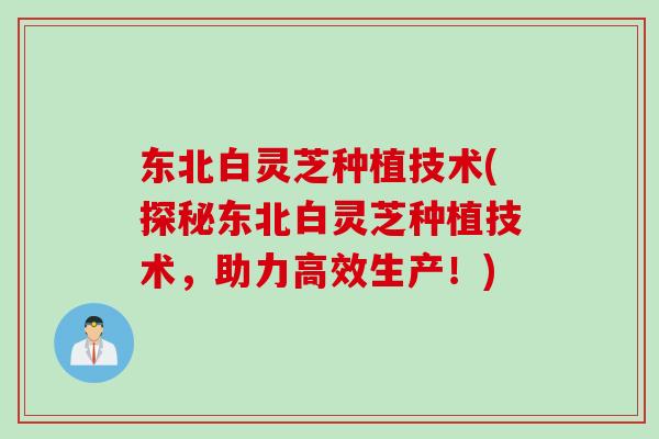 东北白灵芝种植技术(探秘东北白灵芝种植技术，助力高效生产！)