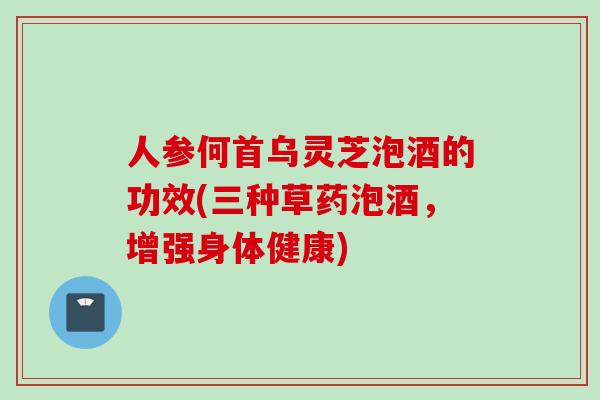 人参何首乌灵芝泡酒的功效(三种草药泡酒，增强身体健康)