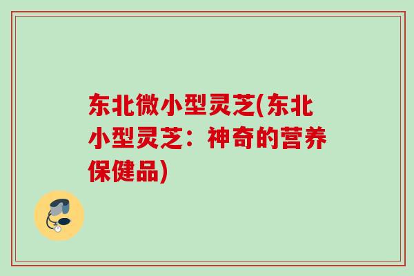 东北微小型灵芝(东北小型灵芝：神奇的营养保健品)
