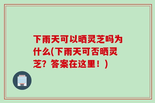 下雨天可以晒灵芝吗为什么(下雨天可否晒灵芝？答案在这里！)