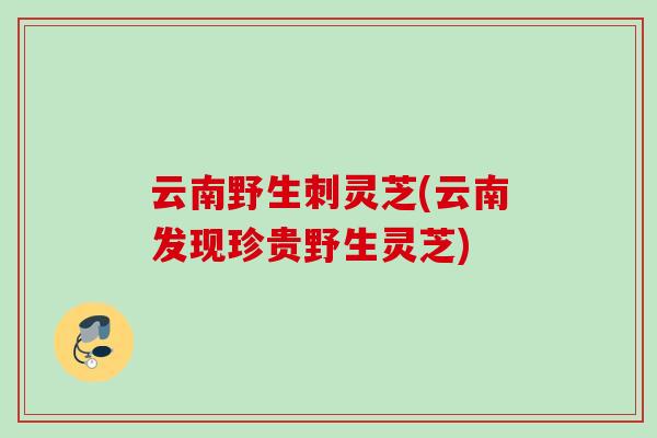 云南野生刺灵芝(云南发现珍贵野生灵芝)