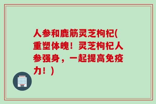 人参和鹿筋灵芝枸杞(重塑体魄！灵芝枸杞人参强身，一起提高免疫力！)