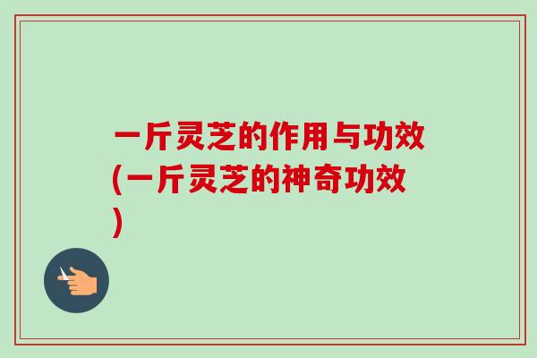 一斤灵芝的作用与功效(一斤灵芝的神奇功效)