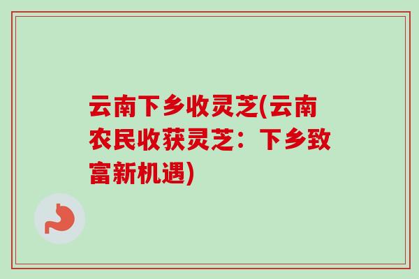 云南下乡收灵芝(云南农民收获灵芝:下乡致富新机遇) 云南下乡收灵芝(云南农民收获灵芝:下乡致富新机遇)