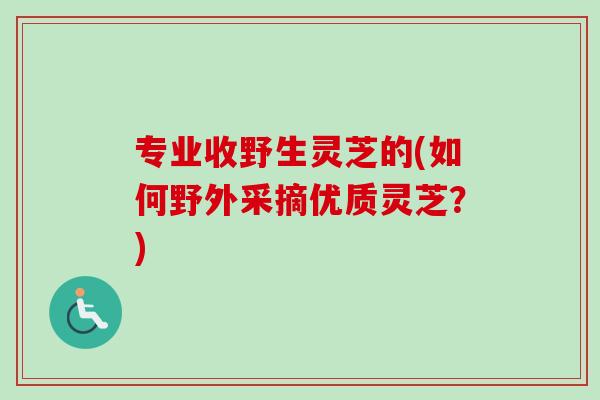 专业收野生灵芝的(如何野外采摘优质灵芝？)