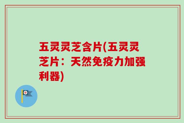 五灵灵芝含片(五灵灵芝片：天然免疫力加强利器)
