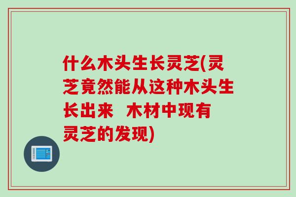 什么木头生长灵芝(灵芝竟然能从这种木头生长出来 木材中现有灵芝的发现) 什么木头生长灵芝(灵芝竟然能从这种木头生长出来 木材中现有灵芝的发现)