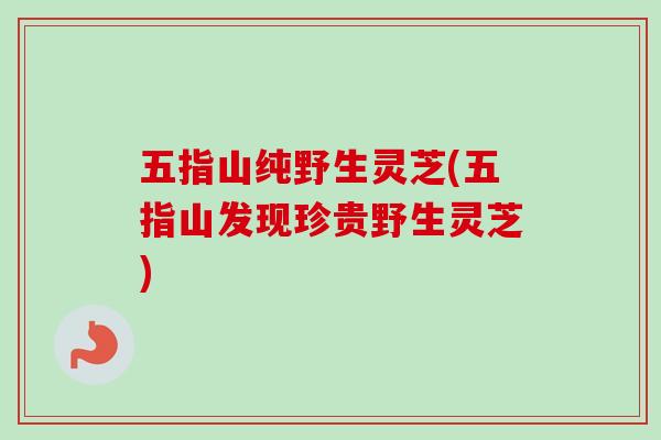 五指山纯野生灵芝(五指山发现珍贵野生灵芝)