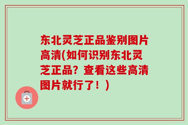 东北灵芝正品鉴别图片高清(如何识别东北灵芝正品？查看这些高清图片就行了！)