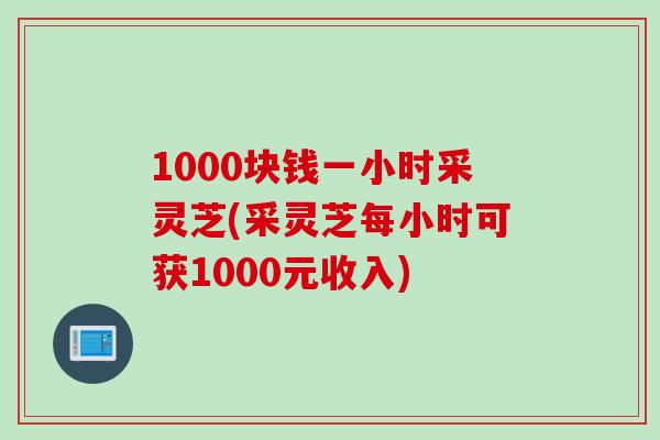1000块钱一小时采灵芝(采灵芝每小时可获1000元收入)