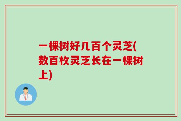 一棵树好几百个灵芝(数百枚灵芝长在一棵树上)