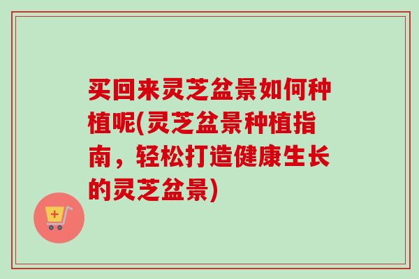 买回来灵芝盆景如何种植呢(灵芝盆景种植指南，轻松打造健康生长的灵芝盆景)
