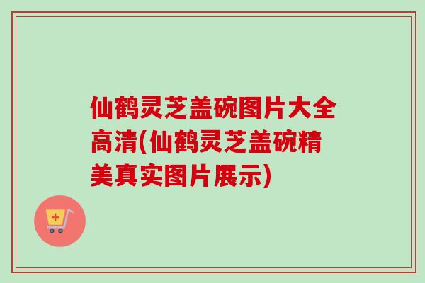 仙鹤灵芝盖碗图片大全高清(仙鹤灵芝盖碗精美真实图片展示)