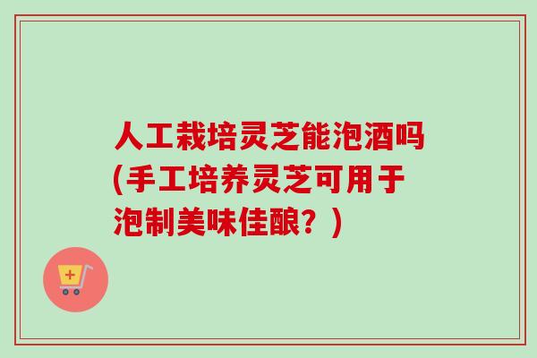 人工栽培灵芝能泡酒吗(手工培养灵芝可用于泡制美味佳酿？)