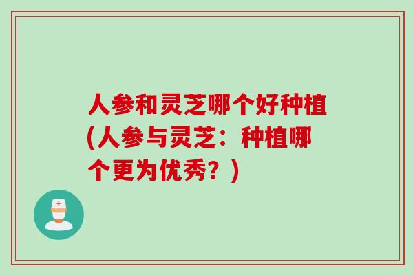 人参和灵芝哪个好种植(人参与灵芝：种植哪个更为优秀？)