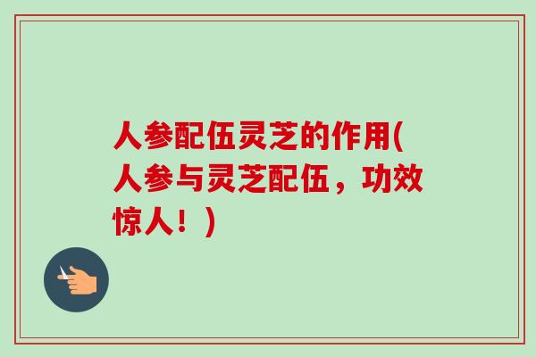 人参配伍灵芝的作用(人参与灵芝配伍,功效惊人!) 人参配伍灵芝的作用(人参与灵芝配伍,功效惊人!)