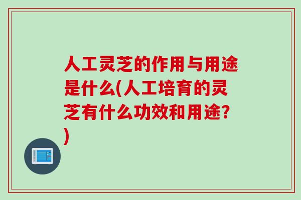 人工灵芝的作用与用途是什么(人工培育的灵芝有什么功效和用途？)