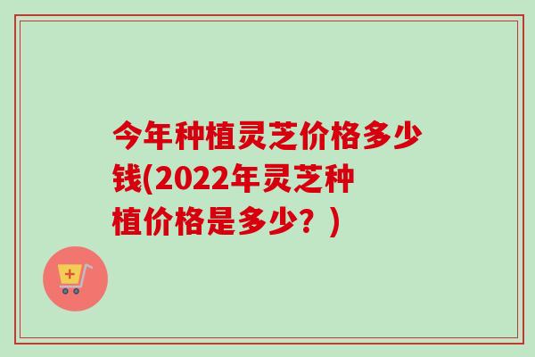 今年种植灵芝价格多少钱(2022年灵芝种植价格是多少？)