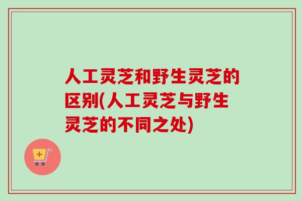 人工灵芝和野生灵芝的区别(人工灵芝与野生灵芝的不同之处)