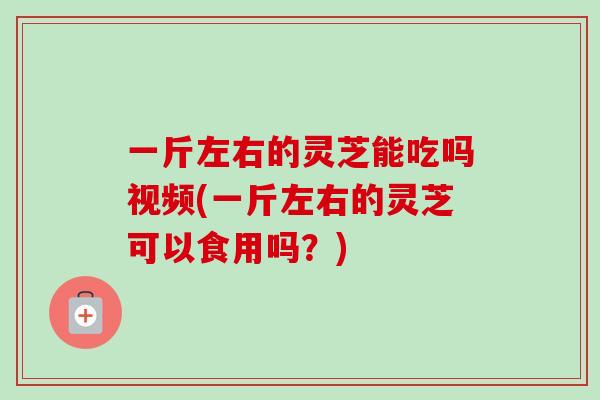 一斤左右的灵芝能吃吗视频(一斤左右的灵芝可以食用吗？)