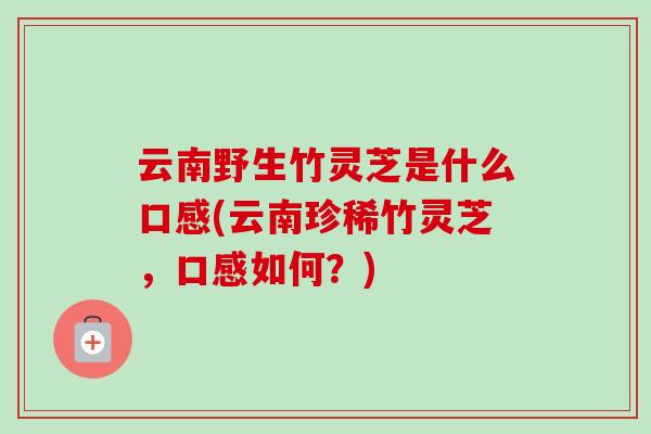 云南野生竹灵芝是什么口感(云南珍稀竹灵芝，口感如何？)