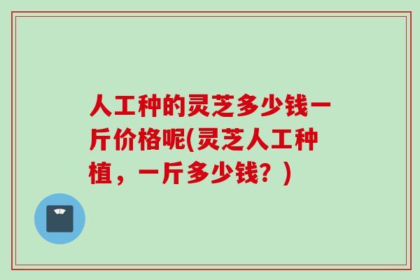 人工种的灵芝多少钱一斤价格呢(灵芝人工种植,一斤多少钱?) 人工种的灵芝多少钱一斤价格呢(灵芝人工种植,一斤多少钱?)