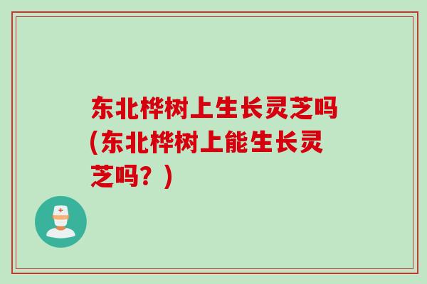 东北桦树上生长灵芝吗(东北桦树上能生长灵芝吗？)