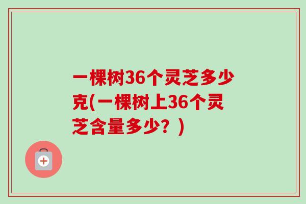 一棵树36个灵芝多少克(一棵树上36个灵芝含量多少？)