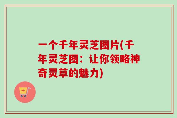 一个千年灵芝图片(千年灵芝图：让你领略神奇灵草的魅力)