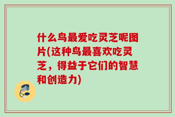什么鸟最爱吃灵芝呢图片(这种鸟最喜欢吃灵芝，得益于它们的智慧和创造力)