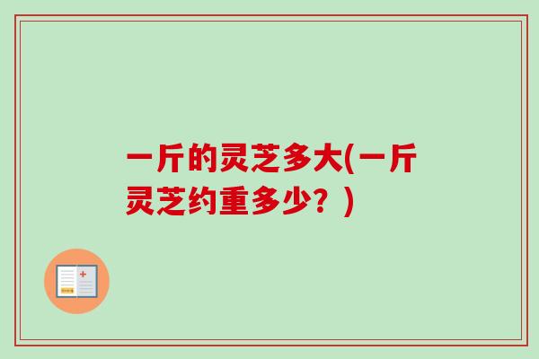 一斤的灵芝多大(一斤灵芝约重多少？)