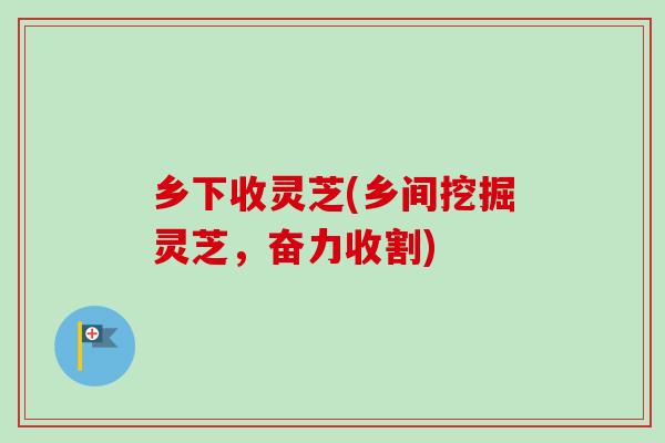 乡下收灵芝(乡间挖掘灵芝，奋力收割)