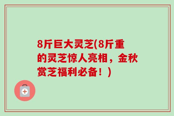 8斤巨大灵芝(8斤重的灵芝惊人亮相，金秋赏芝福利必备！)