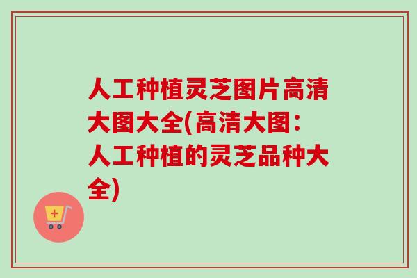 人工种植灵芝图片高清大图大全(高清大图：人工种植的灵芝品种大全)