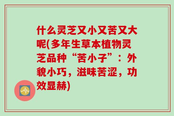 什么灵芝又小又苦又大呢(多年生草本植物灵芝品种“苦小子”：外貌小巧，滋味苦涩，功效显赫)