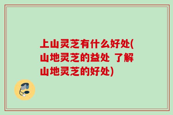 上山灵芝有什么好处(山地灵芝的益处 了解山地灵芝的好处)