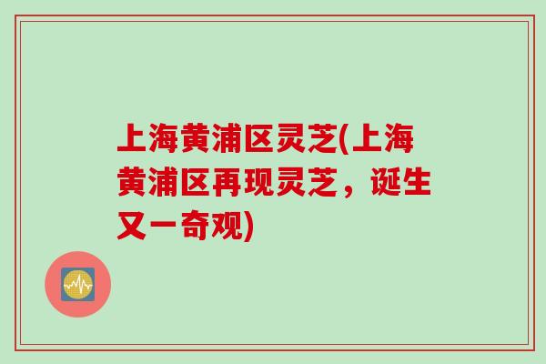 上海黄浦区灵芝(上海黄浦区再现灵芝，诞生又一奇观)