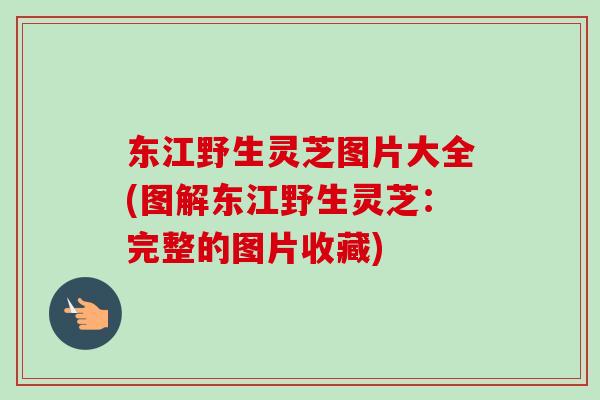 东江野生灵芝图片大全(图解东江野生灵芝：完整的图片收藏)
