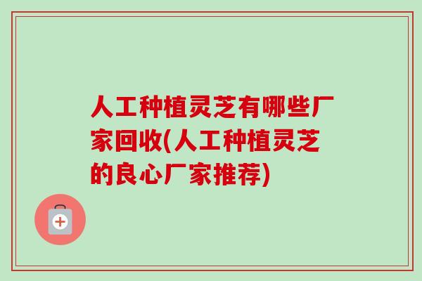 人工种植灵芝有哪些厂家回收(人工种植灵芝的良心厂家推荐)