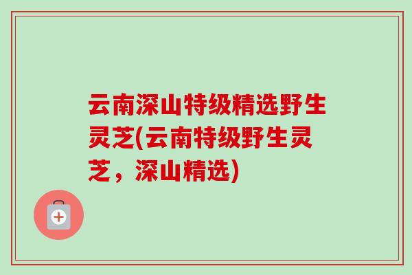 云南深山特级精选野生灵芝(云南特级野生灵芝，深山精选)