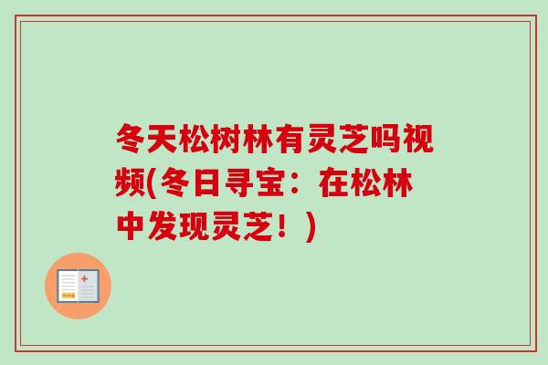 冬天松树林有灵芝吗视频(冬日寻宝：在松林中发现灵芝！)